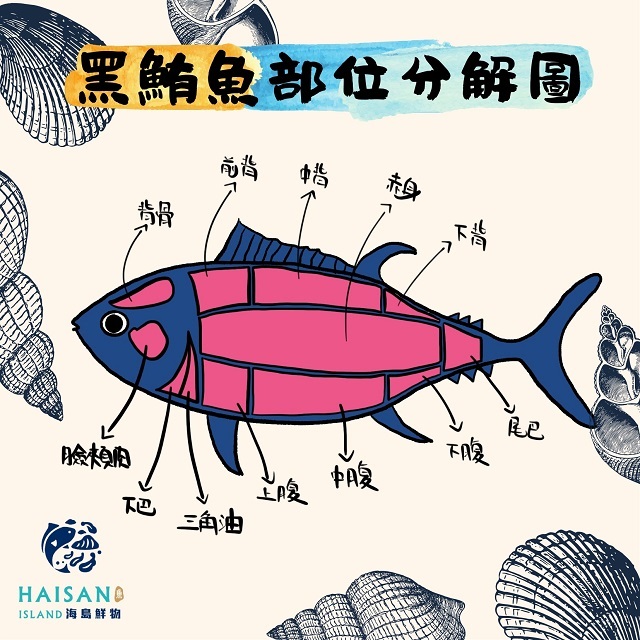 精選黑鮪魚中腹金磚 海島鮮物haisan Island